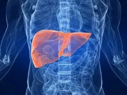 У “Клініці Спіженко” розповіли про небезпеки та лікування раку печінки