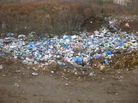 Смітники перетворилися в природні джерела формування активних деструкторів — НАН України