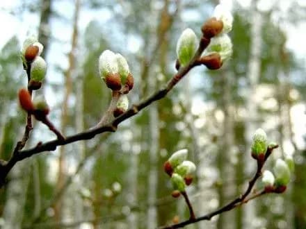 Сьогодні в Україні температура повітря підвищиться