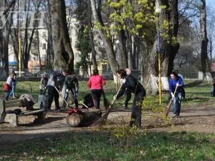 Загальноміську толоку організували в Ужгороді