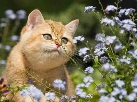 Перший день квітня буде переважно сонячним