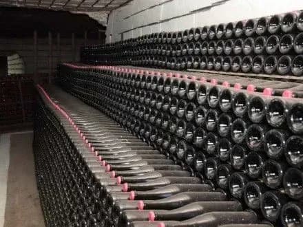 Вітчизняне виноробство має гарні шанси виходу на міжнародну арену - О.Івушкіна