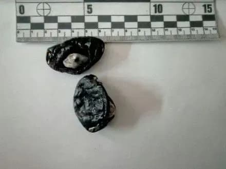 Ув’язненому Миколаївського СІЗО передали наркотики у чорносливі