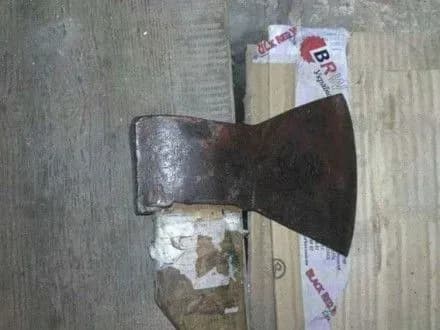 Син живцем закопав матір на Рівненщині