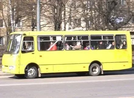 З'ясувались обставини побиття інваліда у маршрутці Житомира