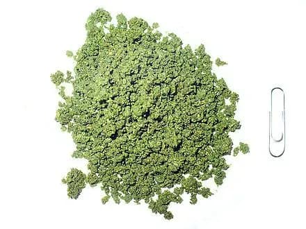 На кордоні з Польщею вилучили 7 кілограмів насваю