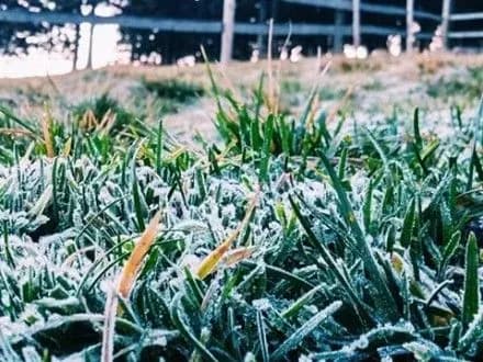 Синоптики попередили про дощ і мокрий сніг на Закарпатті