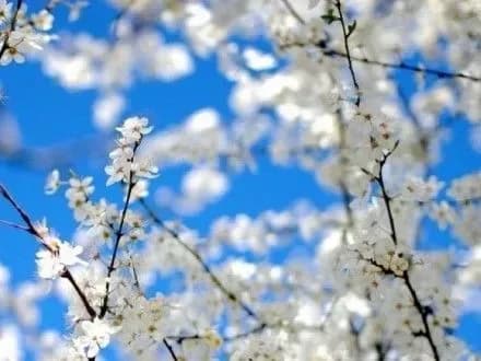 Сьогодні в столиці без опадів