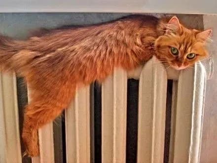 Луцьк відновив опалення шкіл, садочків і лікарень