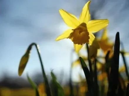 Завтра в Україні опадів не очікується