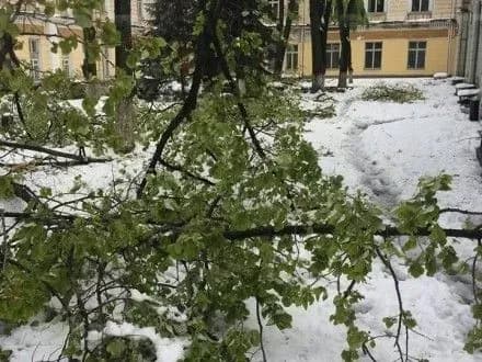 Негода у столиці Молдови повалила більше 4 тис. дерев