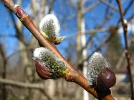 Температура повітря в Україні підвищиться