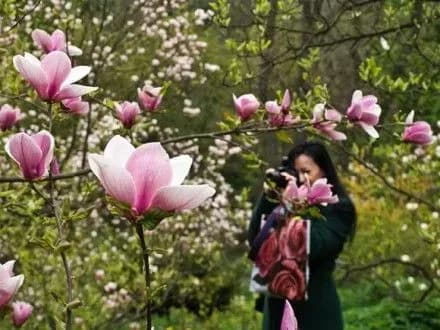 В столиці опадів не очікується