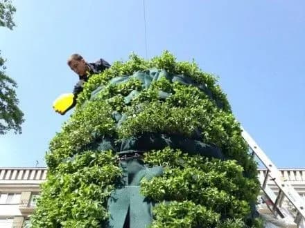 Постамент від пам'ятника Леніну в столиці прикрасили розмарином та м'ятою