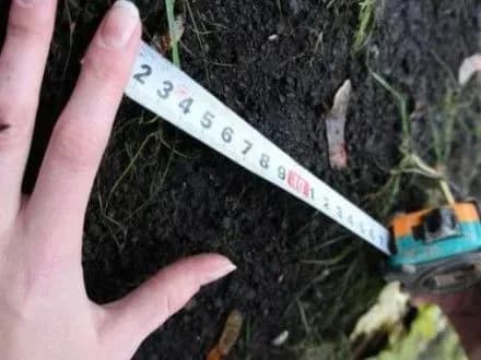 На Запоріжжі прокуратура вимагає повернути державі землі вартістю 7 млн грн