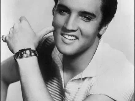 Самолет Элвиса Пресли продан на аукционе в США за 430 000 долларов