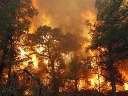 Площа пожеж в Забайкаллі за вихідні зросла втричі