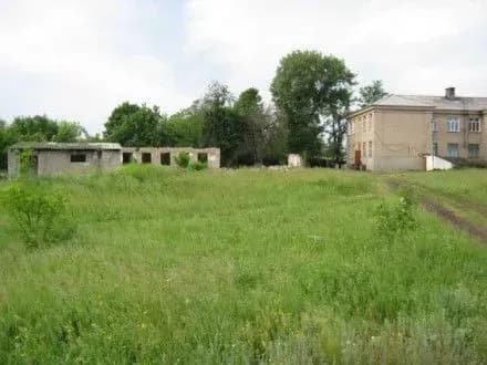 Поліцейські затримали підозрюваного у вбивстві 14-річної дівчинки у Волноваському районі