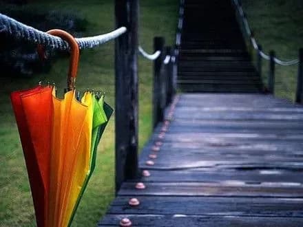 Завтра в Україні місцями пройдуть короткочасні дощі з грозами