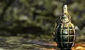 Мешканця Київщини, який кинув у сестру бойову гранату, арештували