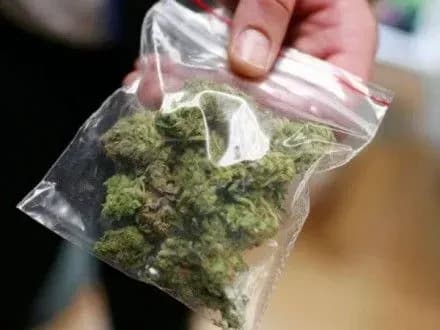 Наркотиків на 75 тис. доларів вилучили правоохоронці Київщини