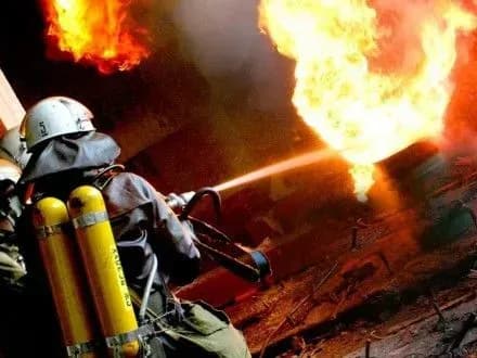Семирічна дитина загинула у пожежі на Житомирщині