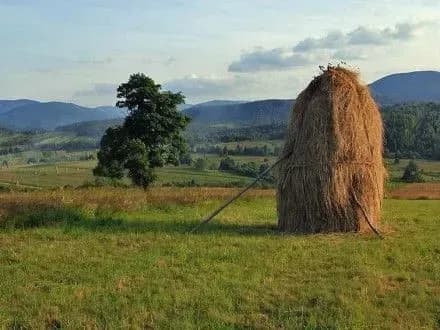 Під Харковом знайшли труп невідомого в копиці сіна