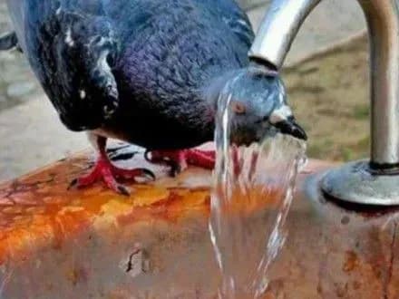 Сьогодні у Києві сухо та спекотно