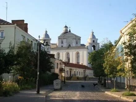 Голову обласного осередку політичної партії побили у Луцьку