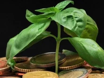 Кошти екоподатку використовуються вкрай неефективно