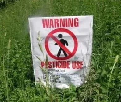 Пестициди вбивають близько 200 тис. осіб на рік - ООН