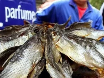 Із “домашнього” ботулізм в Україні трасформувався в промисловий — В.Лапа