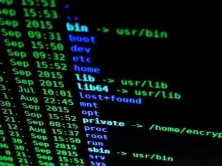 У кіберполіцію надійшло 22 повідомлення про кібератаки – Я.Тракало