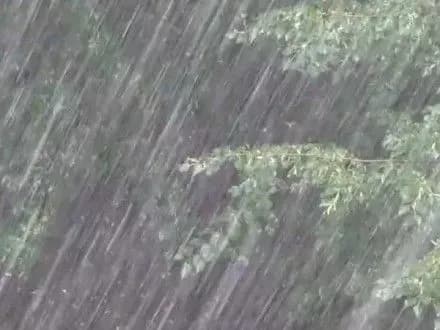 Через негоду 86 населених пунктів у трьох областях залишились без світла