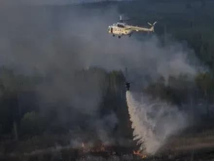 В агентстві з управління зоною відчуження заявили про контрольовану радіаційну ситуацію