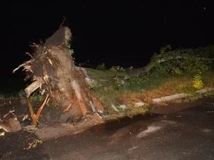 Из-за непогоды в Украине были обесточены более 745 населенных пунктов - ГСЧС