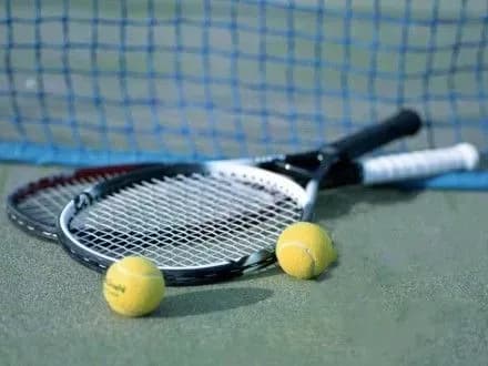 Е.Світоліна та Л.Цуренко зберегли позиції у рейтингу WTA