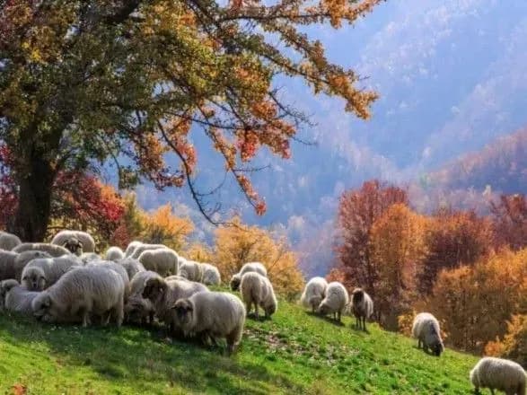 Українцям прогнозують потепління