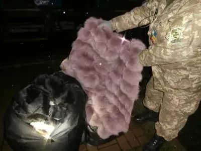 Українка намагалась провезти з Москви 14 шуб