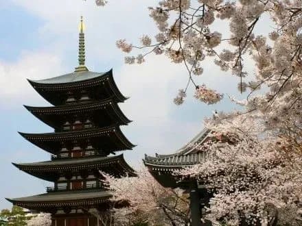 Японія спрощує вимоги для отримання візи українцям