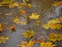 Сьогодні в південних та західних областях України дощитиме