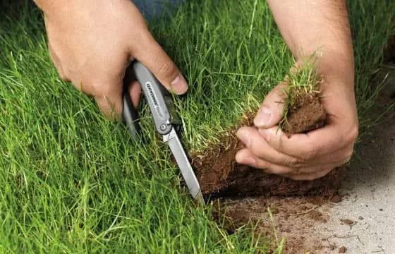 Президент анонсував закон про протидію земельному рейдерству