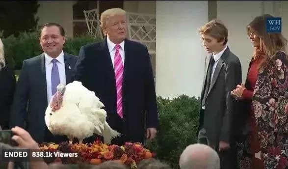 Трамп помилував свою першу індичку