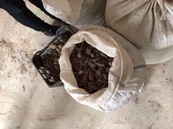 З підпільних цехів у Луцьку вилучили 200 кілограмів бурштину