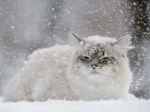 Сьогодні в на заході України мокрий сніг і дощі