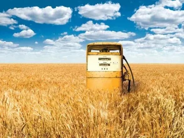 Чехія проінвестує виробництво енергії з біомаси в Україні