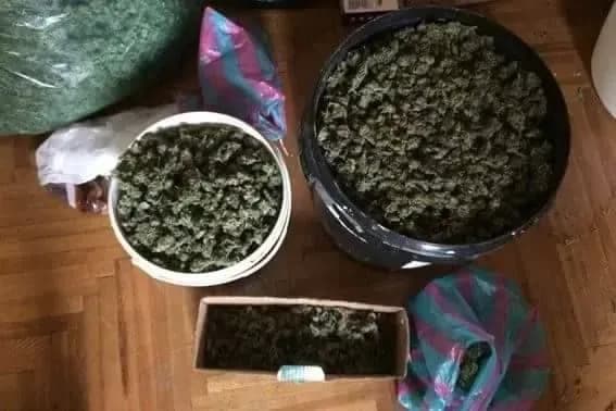 Двоє жителів Мукачева зберігали вдома наркотиків на 7 млн грн