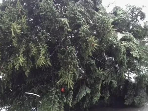 Через затори головну новорічну ялинку впустять у Київ не раніше півночі