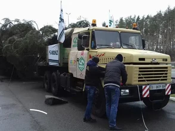 Головну ялинку країни не пускають до столиці