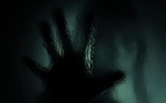 В столиці у лісопарковій зоні знайшли людську руку